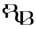 ratandboa logo